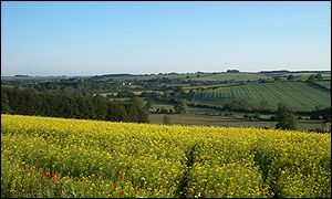 A Cotswolds scene