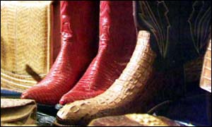 Crocodile shoes
