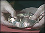 Hands holding silicone implant