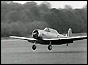 The Duke landing his Harvard aircraft