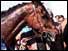 Red Rum