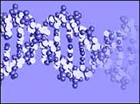 dna