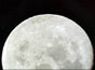 Moon photographed by Apollo 11