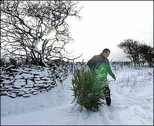 North Yorkshire Moors farmer Stephen Stead drags a Christmas tree through heavy snow on his farm above Pickering.