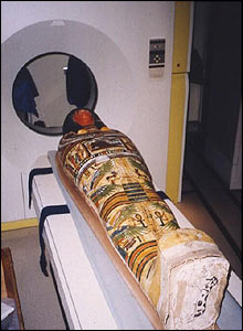 Nesperennub