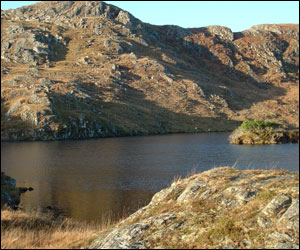 Pairc