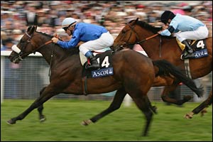 Westerner (L) wins with Distinction (R) in second
