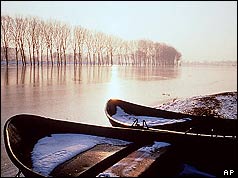 The Rhine 