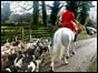 Bilsdale Hunt
