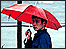 Umbrella