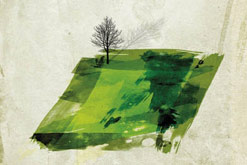 The Plot: A Biography of An English Acre by Madeleine Bunting