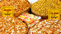 Useful videos about the Arabic language