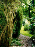 Briarfield Gardens.
