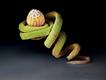  Foto: ©Martin Oeggerli/National Geographic