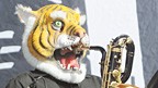 The Maccabees' animalistic horn section
