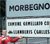 Arwydd Morbegno