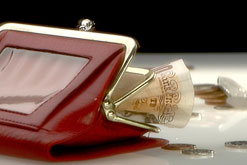 Purse and Money