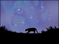 Puma silhouette