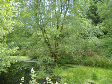 view of Egdon Heath