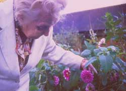 Elderly Lady