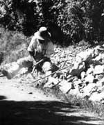 Farm worker