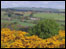Fields in Consett. By John Dickinson
