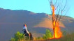 نمایی از فیلم دوئت 