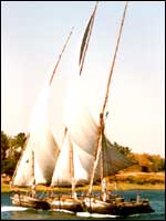 Feluccas