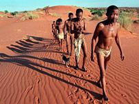 Bushmen walking