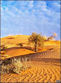 صحرای کالاهاری در آفريقا جنوبی