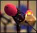 Microphone