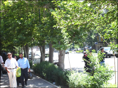 Phố xá Tehran