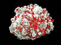 Aids virüsü