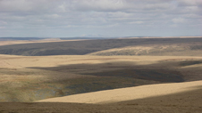 Rhosydd Tregaron