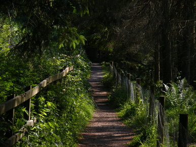 Down the path