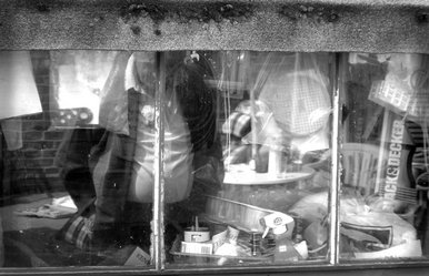 Life in a window