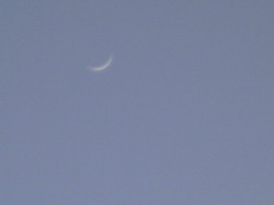 Moonshine