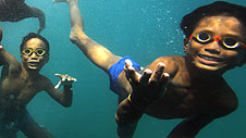Plant Bajau Laut, Malaysia © Timothy Allen
