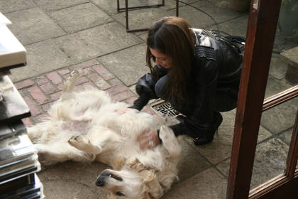 Cheryl plays with Jo's dog.