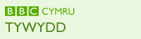 Tywydd