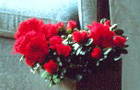 Azalea