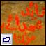باجوڑ  