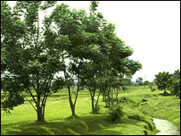 نیم