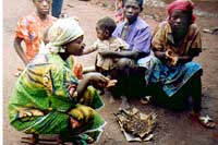 Cooked termites and flying ants are a commonly made meal
