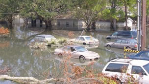 Cars in flooded street