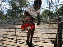 Trẻ em Zimbabwe