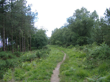 view of Egdon Heath