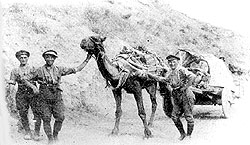 RACD  using camel transport