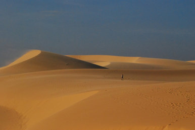 Dune walker