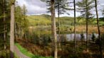 Cwm Ystwyth a Nant yr Arian